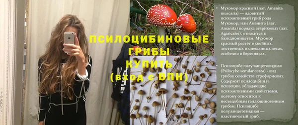 2c-b Белокуриха