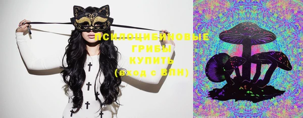 2c-b Белокуриха
